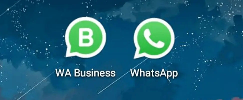 全面解析WhatsApp Business API，解锁外贸企业增长新路径